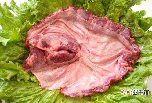 罗根肉是什么部位