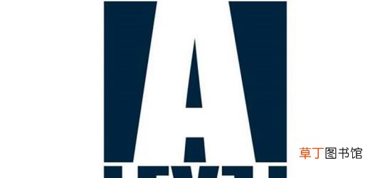 level是什么意思？
