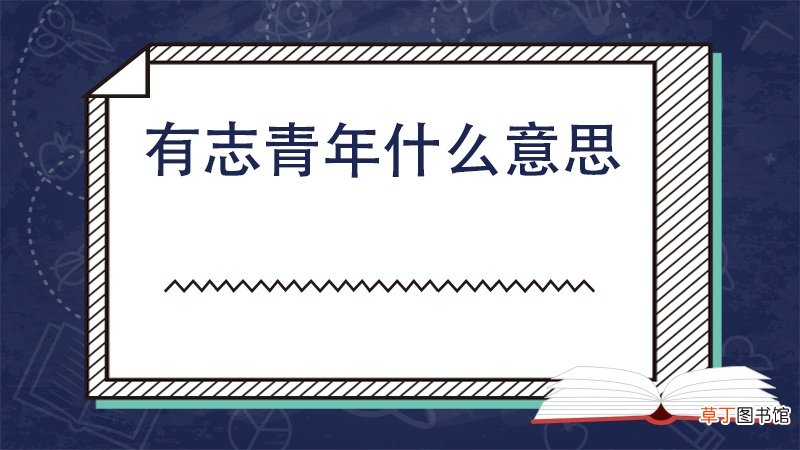 有志青年什么意思
