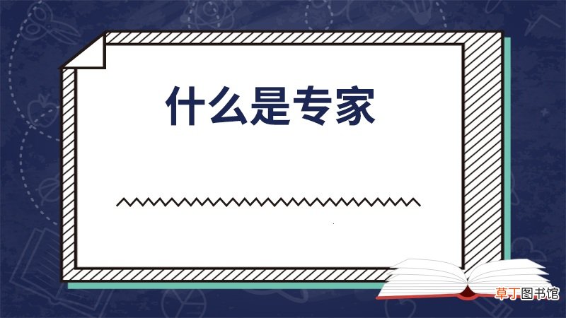 什么是专家