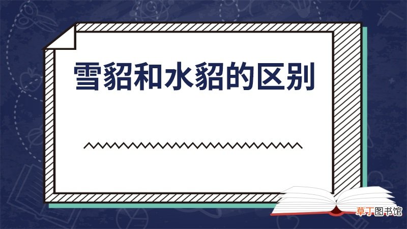 雪貂和水貂的区别