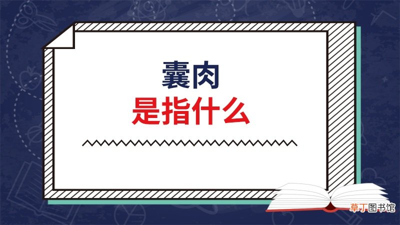 囊肉是指什么