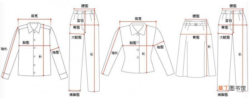 女裤36码是s还是m