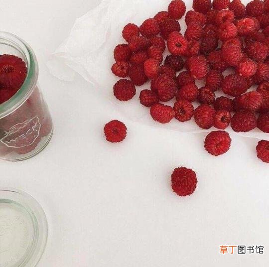 越到最后越要坚持的语录 不要因为走得太远而忘记为什么出发