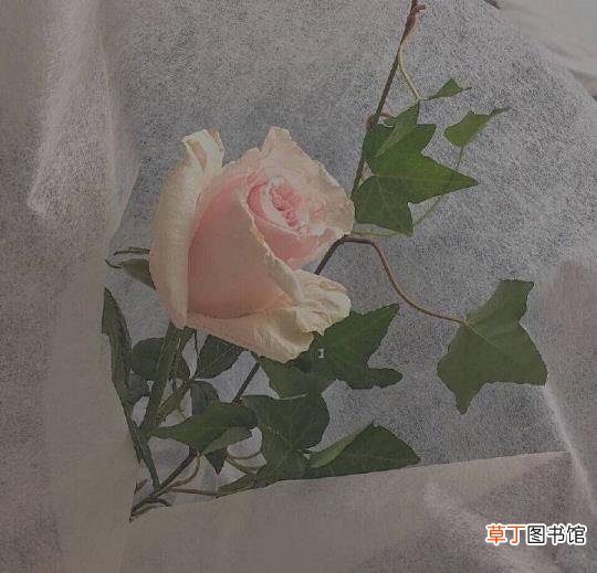越到最后越要坚持的语录 不要因为走得太远而忘记为什么出发
