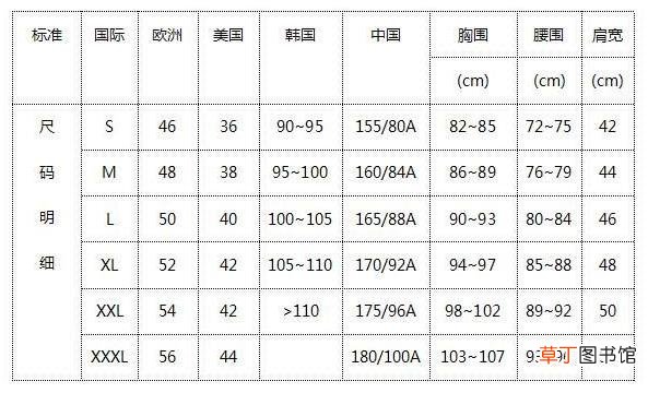 女装上衣36码是多大