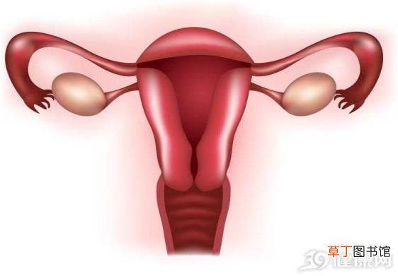 公司体检很多人感染hpv 为什么会的宫颈癌