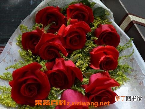 玫瑰花怎么保存 玫瑰花保存的方法技巧