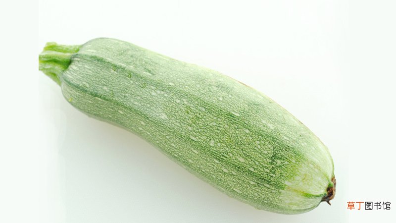 西葫芦和茭瓜的区别是什么