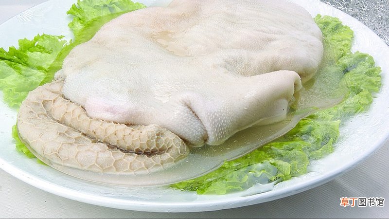 羊肚是羊的什么部位