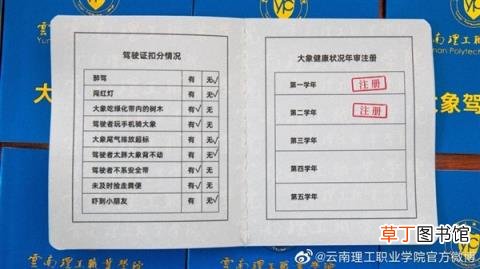网友：云南人骑大象上学实锤了 云南一高校给新生发大象驾驶证