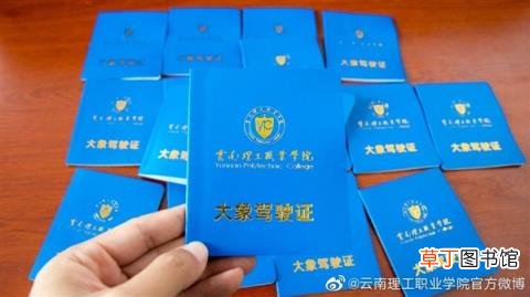网友：云南人骑大象上学实锤了 云南一高校给新生发大象驾驶证