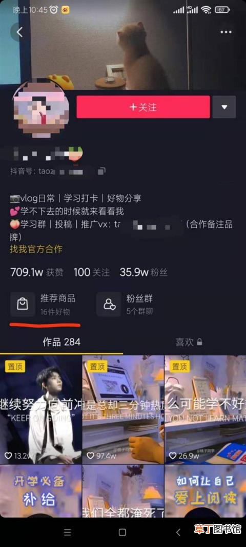 他们到底能赚多少钱? 学习博主不断涌现