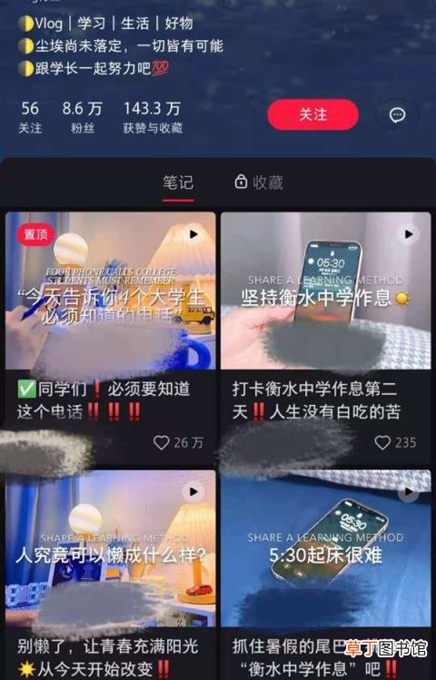 他们到底能赚多少钱? 学习博主不断涌现