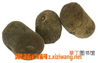 化橘红的功效作用与药用价值