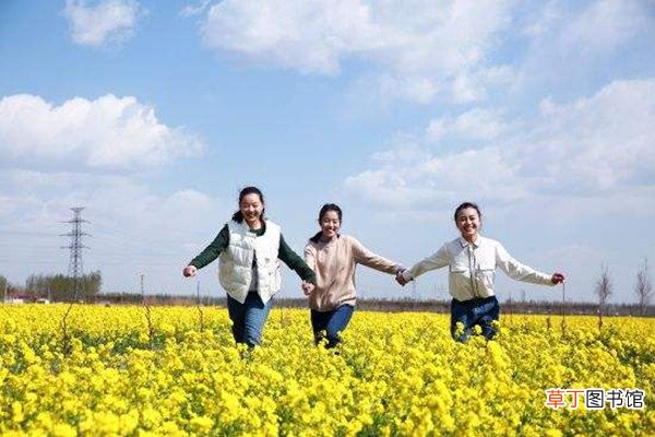 出去踏踏青什么意思