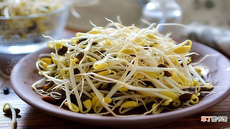 绿豆芽头为什么发紫