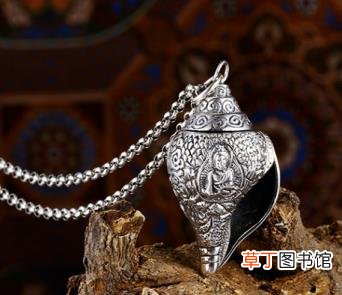 海螺有什么寓意 你为什么不问问神奇海螺呢