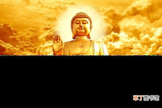 海螺有什么寓意 你为什么不问问神奇海螺呢
