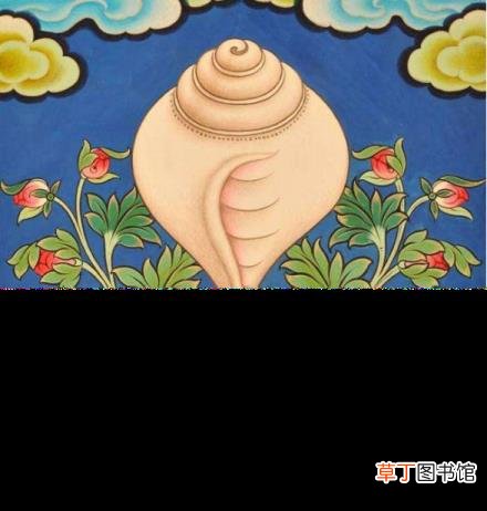 海螺有什么寓意 你为什么不问问神奇海螺呢