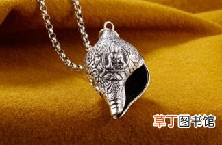 海螺有什么寓意 你为什么不问问神奇海螺呢