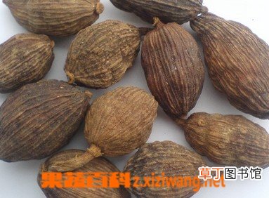 什么是草果 草果的功效与作用