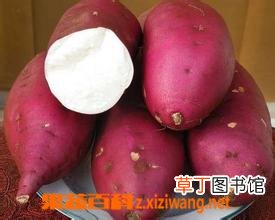 吃红薯的好处