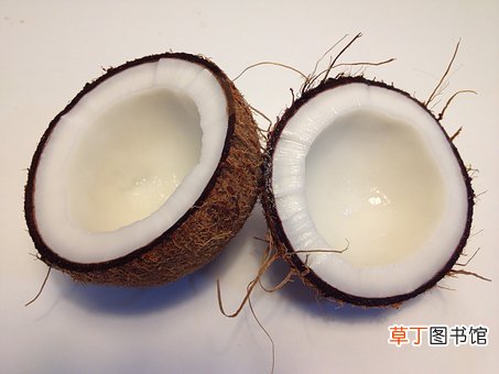 椰皇和椰青的区别