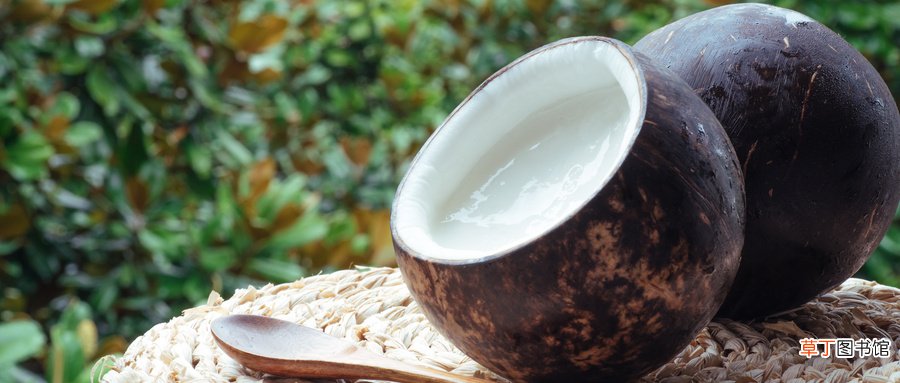 椰青和椰子的区别