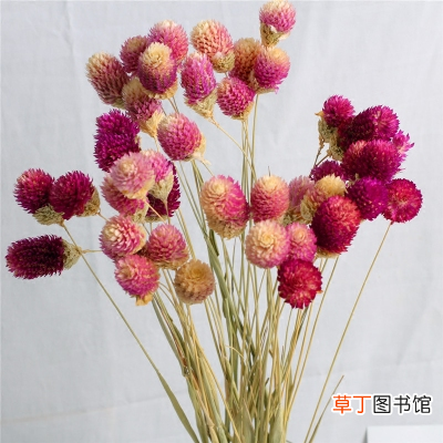 鲜花如何保鲜 鲜花保鲜时间短？花店保鲜小方法