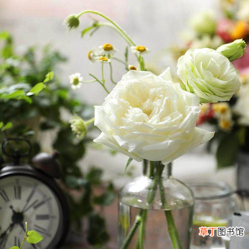 鲜花如何保鲜 鲜花保鲜时间短？花店保鲜小方法