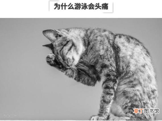 头疼游泳 为什么游完泳头疼
