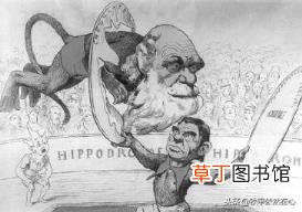 进化论对中国的影响 为什么要相信达尔文