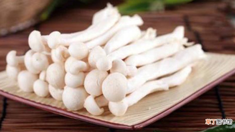 海鲜菇不焯水可以吃吗