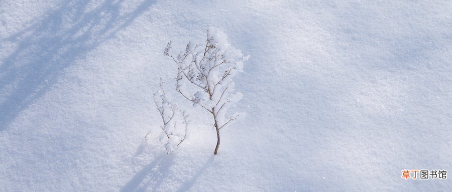 下雪的好处
