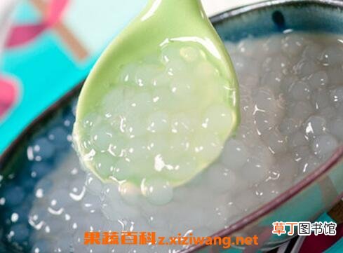 西米怎么煮 西米如何做好吃 西米的家常做法