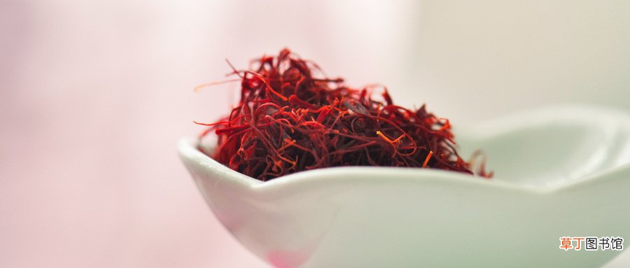 秋天的花有哪些