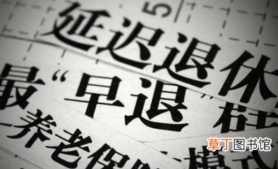 延迟退休方案2022年正式实施表格 2022延迟退休表格最新