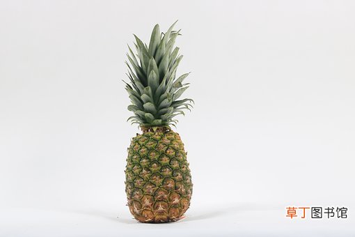 菠萝凤梨区别