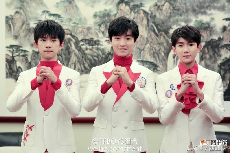 宋小睿怎么黑tfboys的 为什么黑tfboys