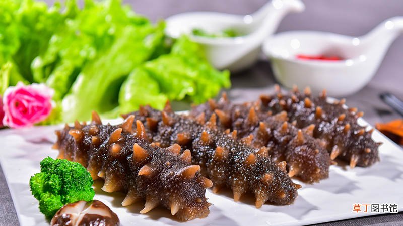 海参大个好还是小个好