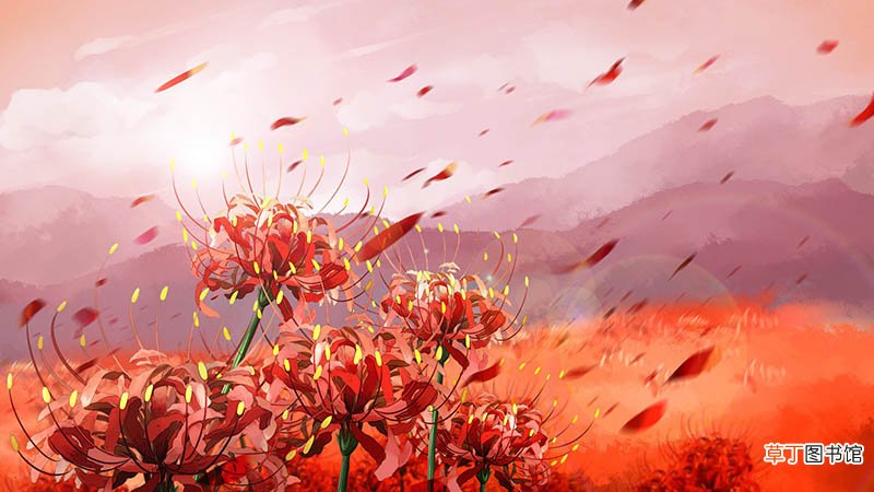 二十四节气表顺口溜