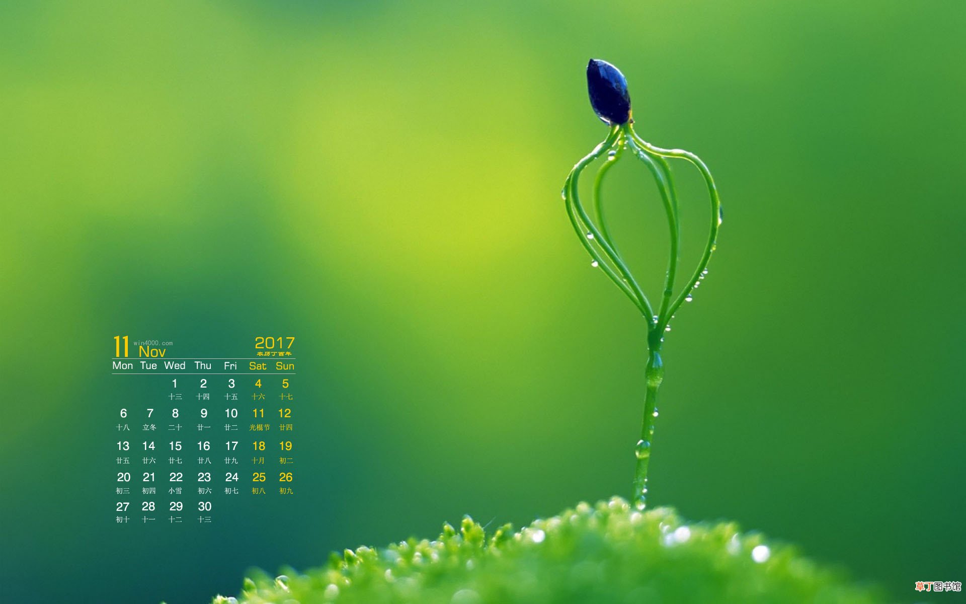阴历是什么