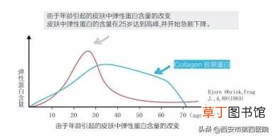 眼皮突然松弛 眼皮为什么会松