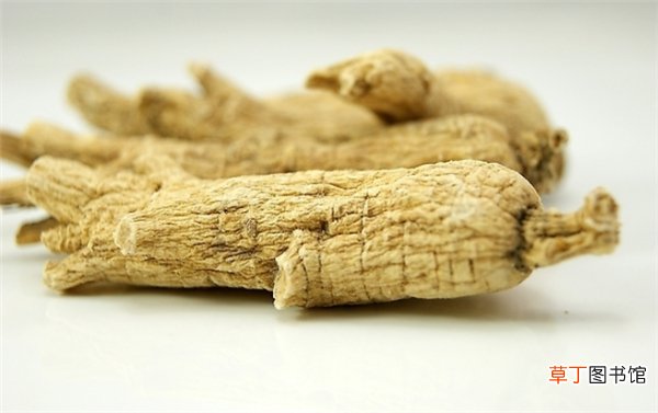 花旗参和西洋参的区别