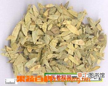 番泻叶的功效与作用和番泻叶的药用价值
