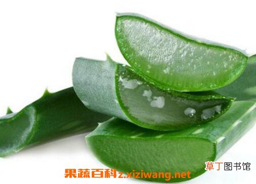 如何用芦荟涂脸 新鲜芦荟涂脸正确方法
