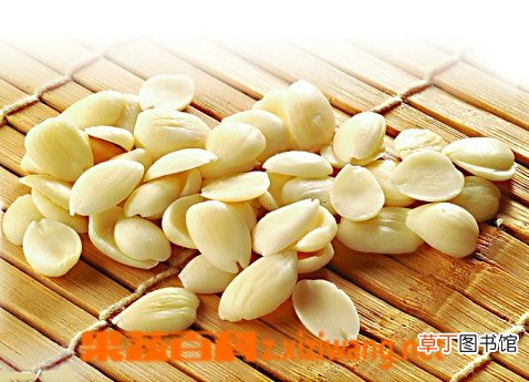 桃仁的功效作用和药用价值