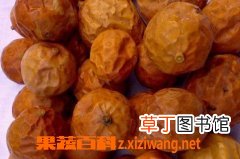 瓜蒌的功效与作用
