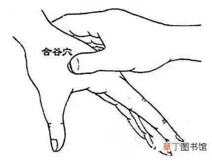 眼保健操的做法 6节眼保健操